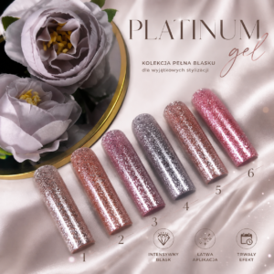 Zestaw żeli PLATINUM ŻEL ( 6 szt. )